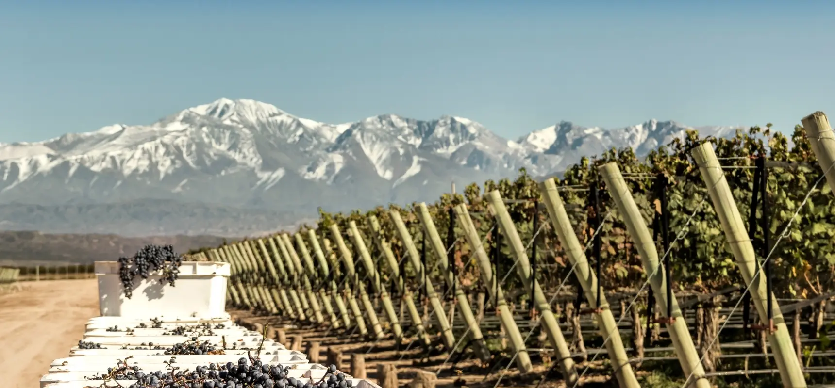 Mendoza – 3 noches